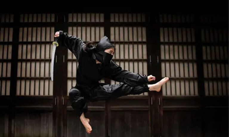 lwedninja: The Ultimate Platform for Digital Creators