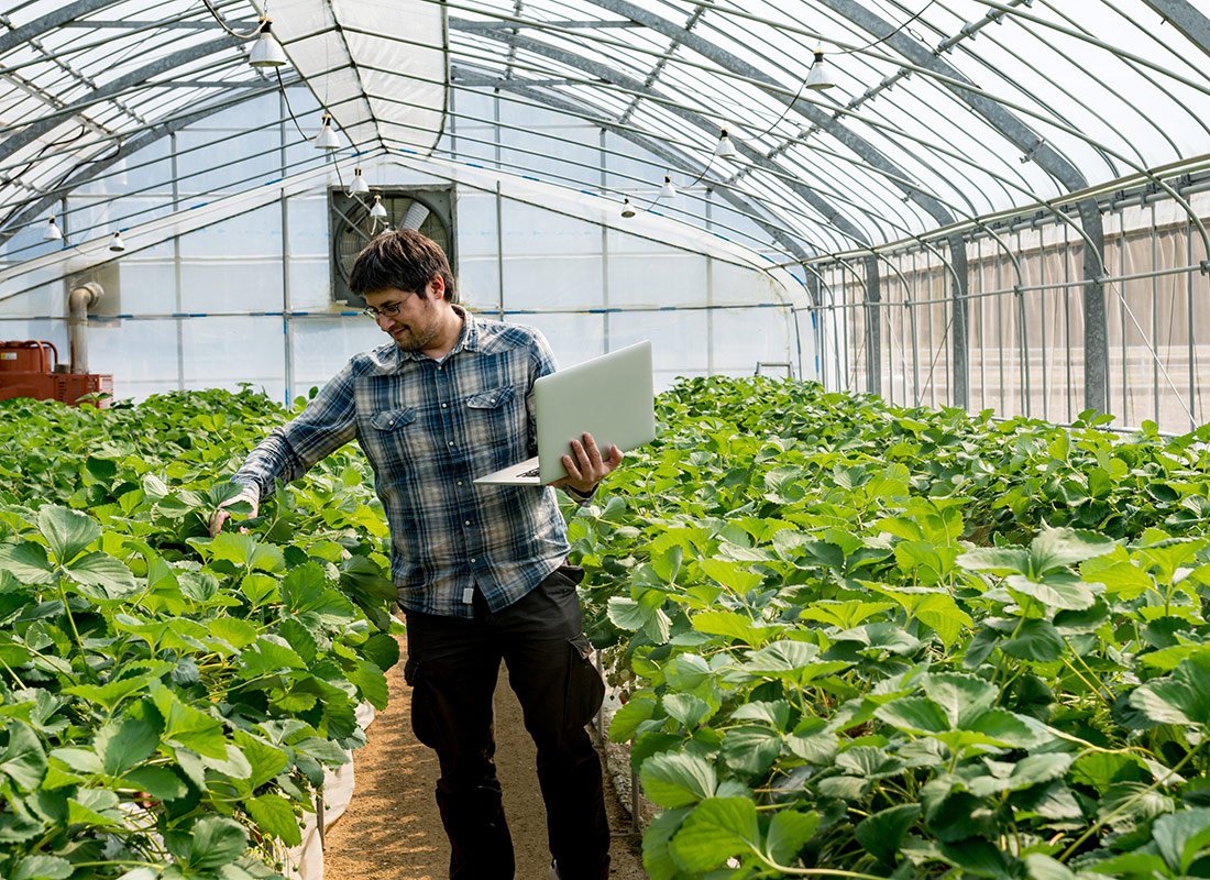 Commercial Greenhouse Operations