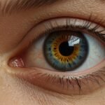Daily Contact Lenses