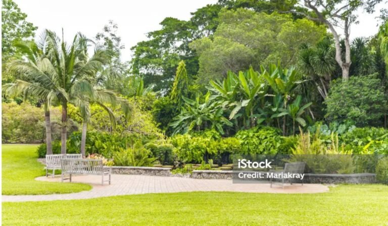 Landscaping Darwin: Transform Your Outdoor Space