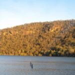 Arborist Central Coast