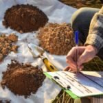 9 Soil Tests to Do Before Planting