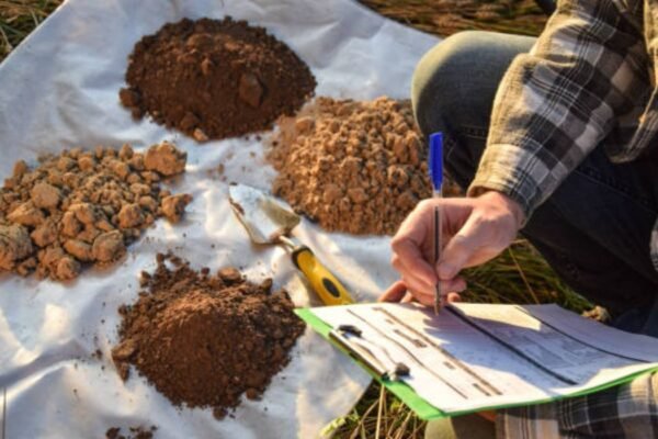 9 Soil Tests to Do Before Planting
